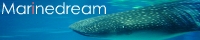 Marinedream